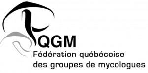 logoQGM